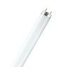 Lâmpada Fluorescente Osram Tubular T8 G13 18W 6500K Lâmpada Fluorescente Osram Tubular T8 G13 18W 6500K