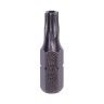 Bits Torx Furado Sextavados 1/4" 25 mm - 10 Unidades Bits Torx Furado Sextavados 1/4" 25 mm - 10 Unidades