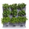 Horta Vertical 9 Vasos Minigarden Horta Vertical 9 Vasos Minigarden