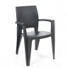 Cadeira Elegance Lisa com Braços Resina Cadeira Elegance Lisa com Braços Resina