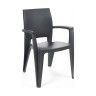 Cadeira Elegance Lisa com Braços Resina Cadeira Elegance Lisa com Braços Resina