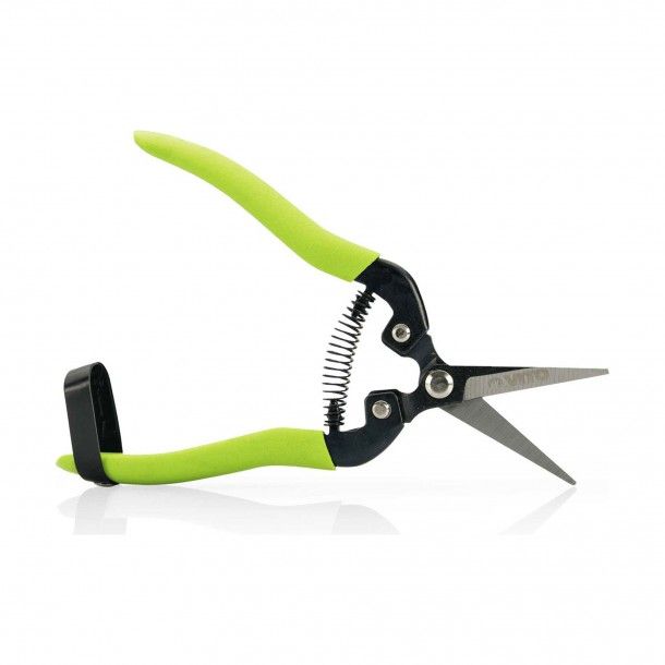 Tesoura Vindima Reta 19 cm - Vito
