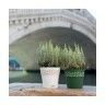 Vaso Plástico com Depósito de Água Verde Oliva Ø 20 cm Vaso Plástico com Depósito de Água Verde Oliva Ø 20 cm