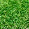 Relva Artificial Rolo Prado 20mm 2x15m (30m2) Relva Artificial Rolo Prado 20mm 2x15m (30m2)