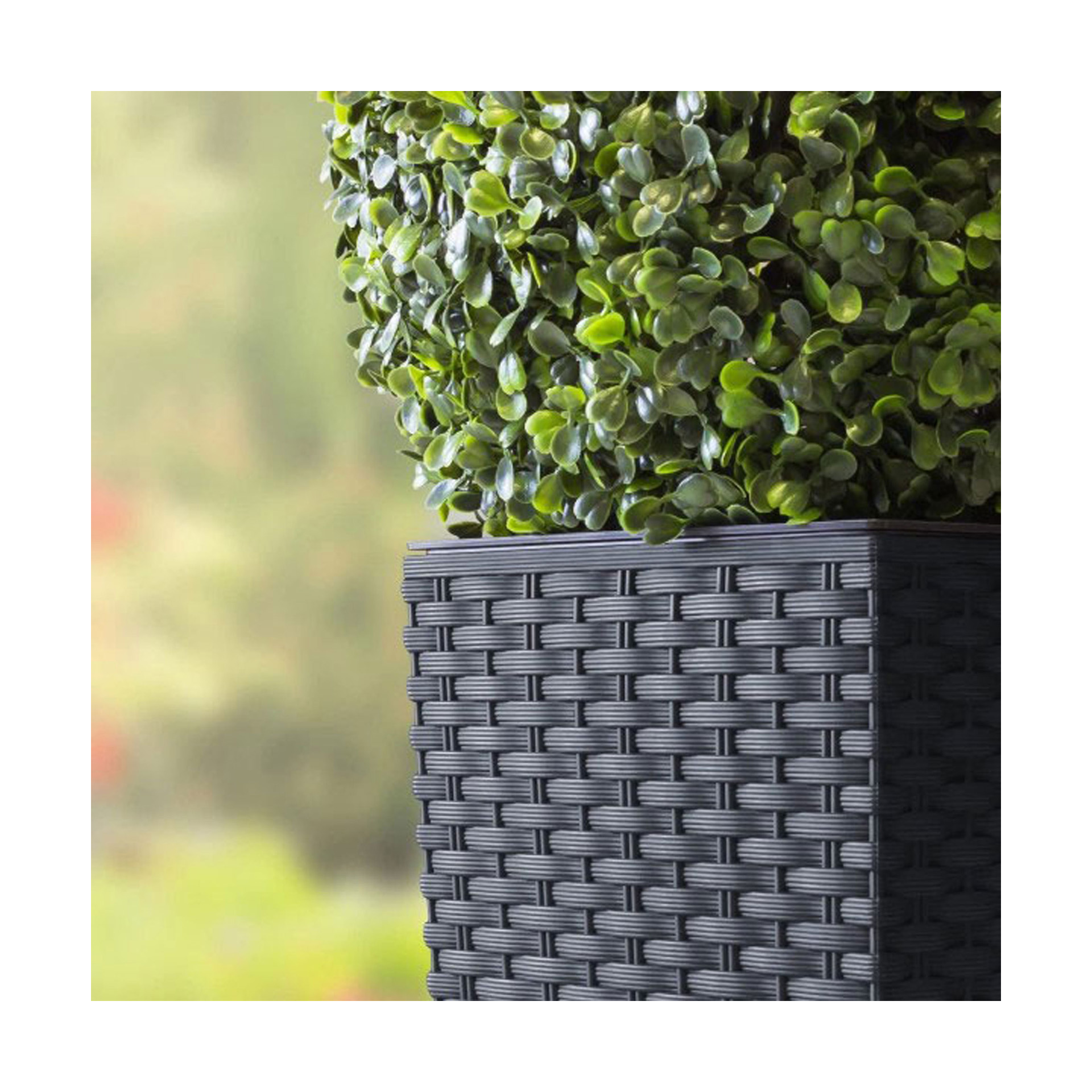 Vaso Quadrado Baixo Estilo Ratan Antracite - 17 cm