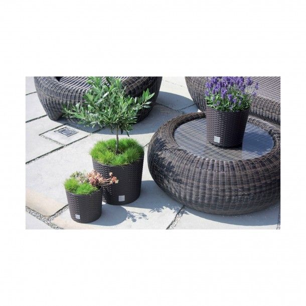 Vaso Redondo Baixo Estilo Ratan Castanho - 20 cm Vaso Redondo Baixo Estilo Ratan Castanho - 20 cm