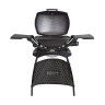 Grelhador Weber Barbecue a Gs Q2200 com Stand