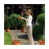 Corta-Sebes/Relva a Bateria GSL700 QW Black+Decker Corta-Sebes/Relva a Bateria GSL700 QW Black+Decker