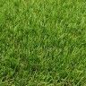 Relva Artificial Rolo Campo 30mm 2x15m (30m2) Relva Artificial Rolo Campo 30mm 2x15m (30m2)
