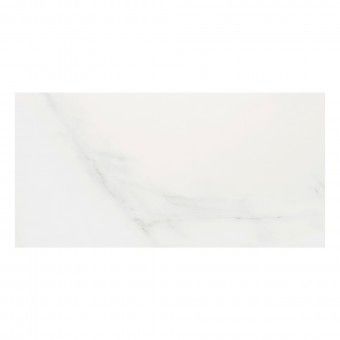 Revestimento Mastery Retificado Natural 30x60cm Recer