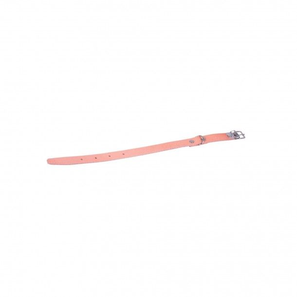 Coleira Couro para Cães Coleira Couro para Cães