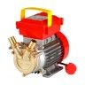 Bomba de Trasfega Rover 20 CE 3/4" 0,5HP 220V Saer Bomba de Trasfega Rover 20 CE 3/4" 0,5HP 220V Saer