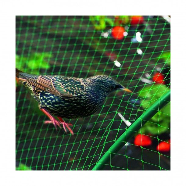 Rede Anti Pssaros Malha 18x18mm