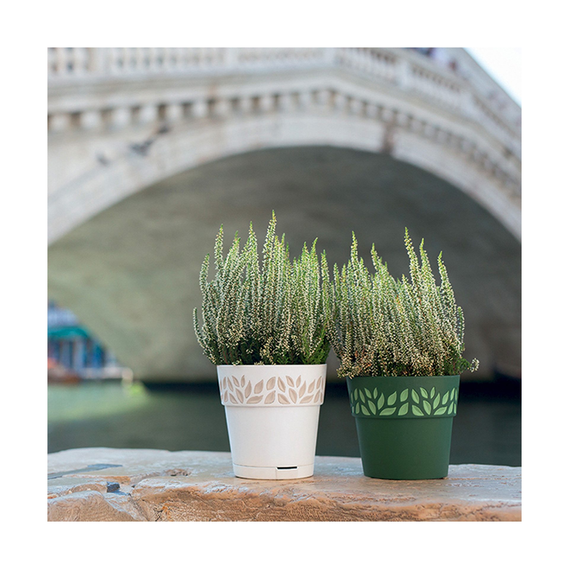 Vaso Plástico Verde Oliva Ø 20 cm