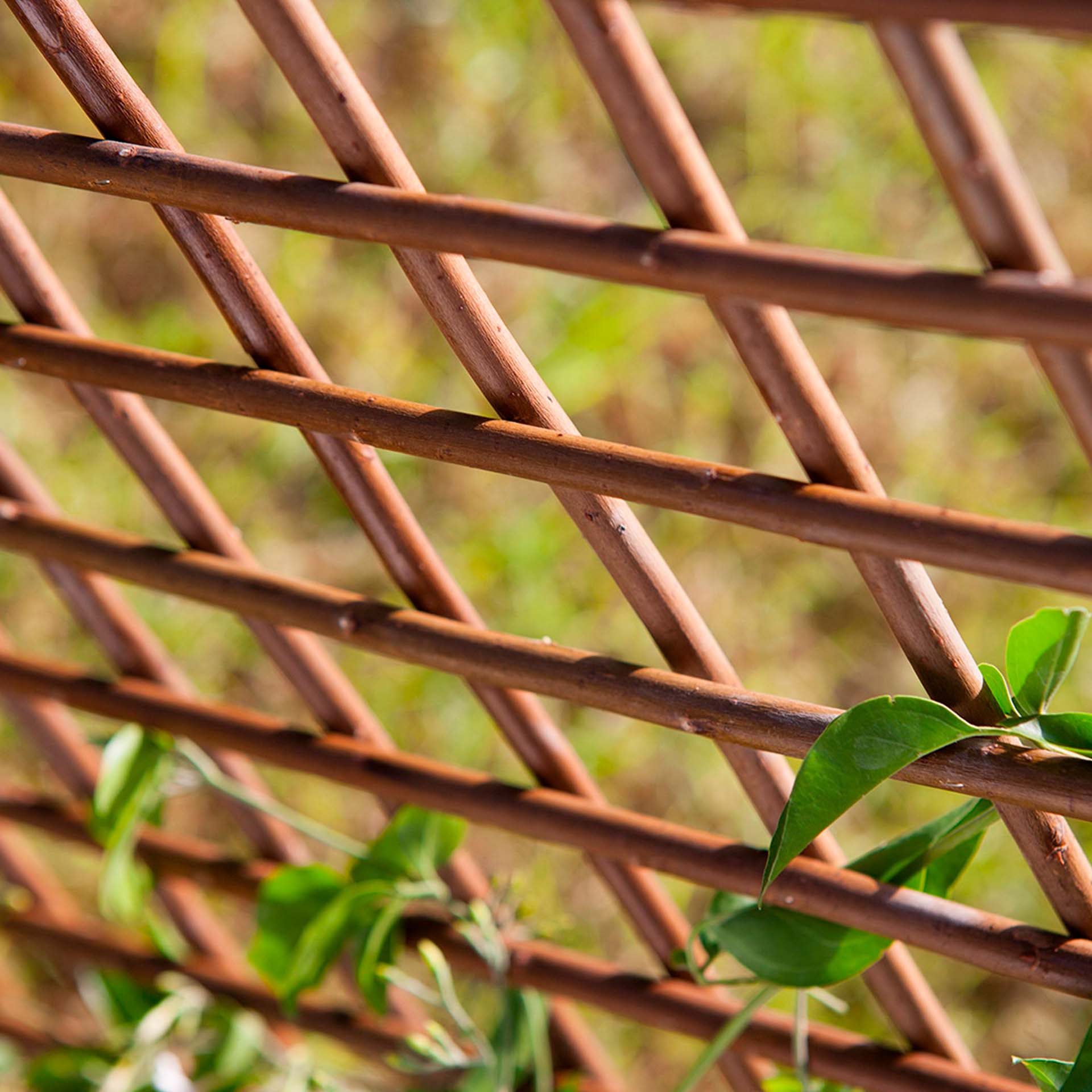 Gelosia de Vime Extensível 0,5x1,5M Catral