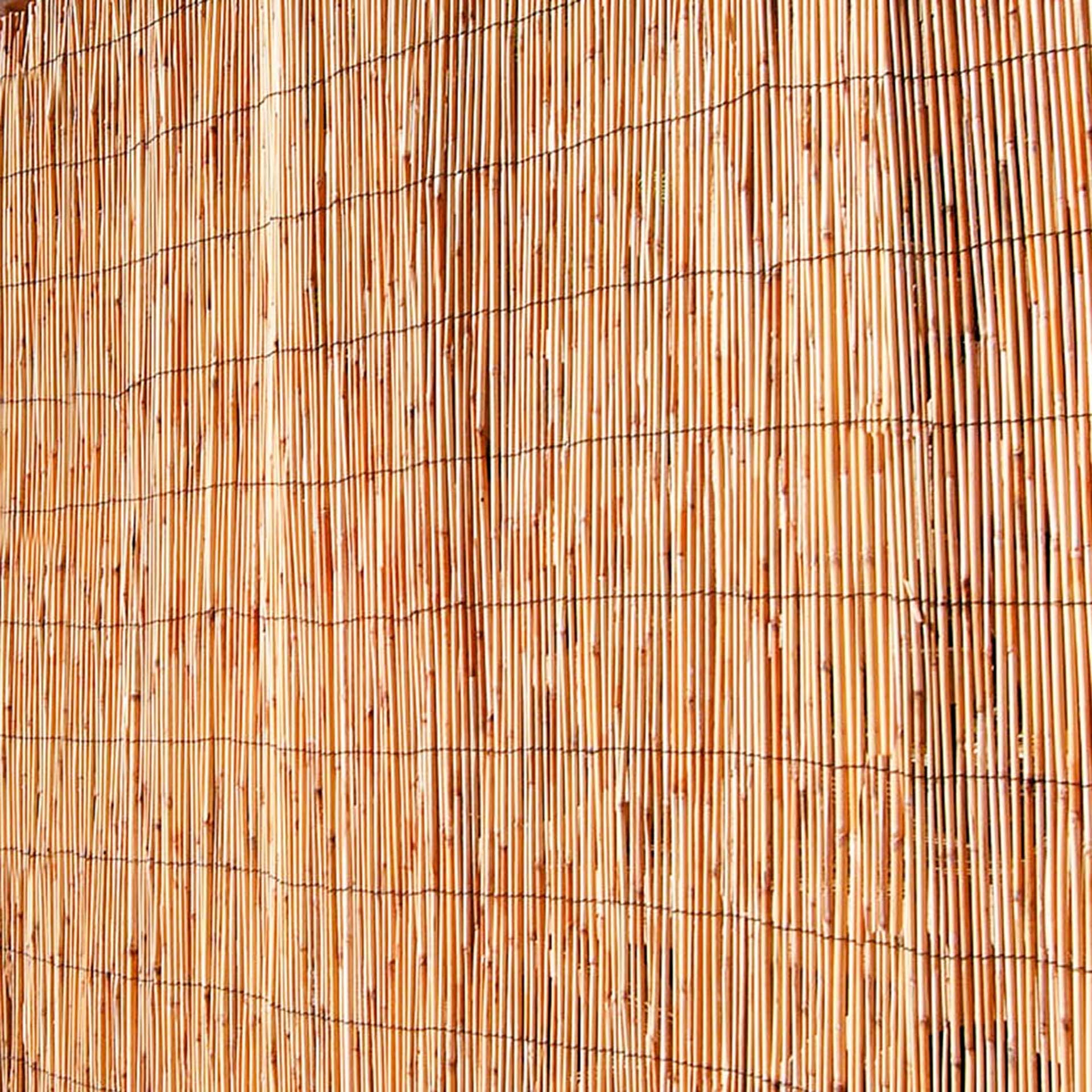 Vedação de Bambu Pelado Catral