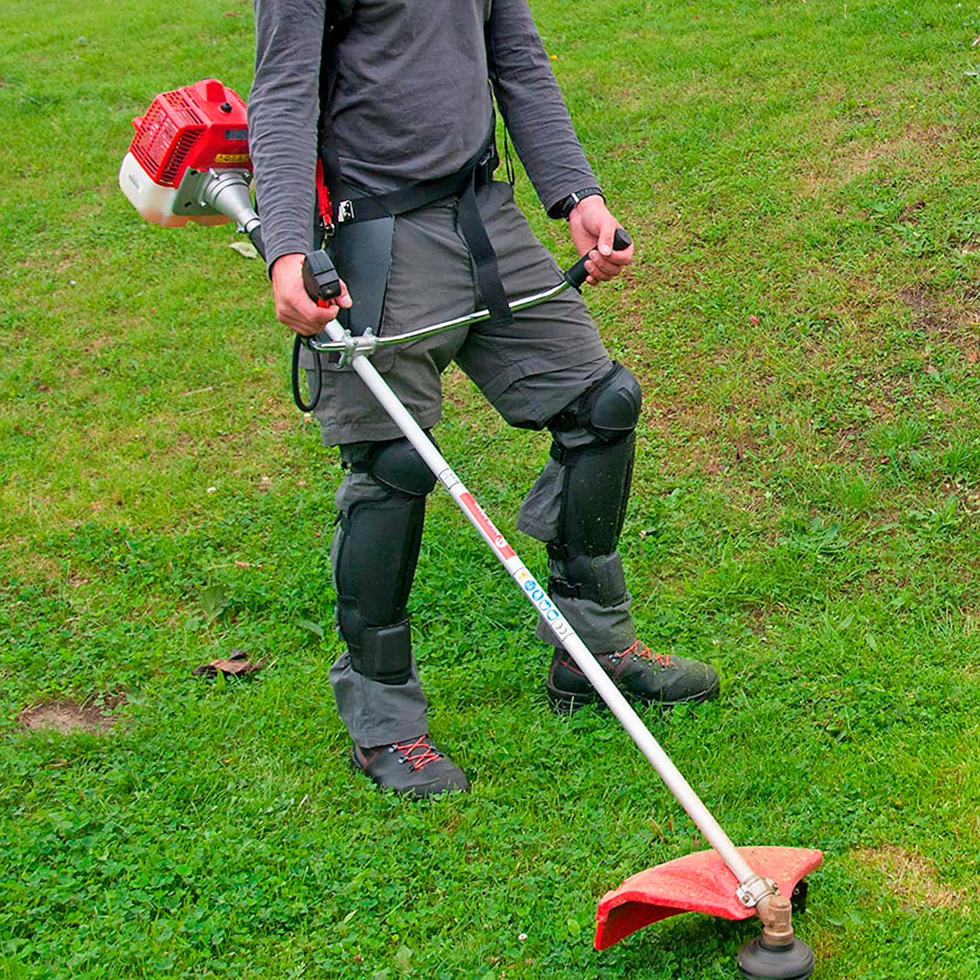 Caneleiras de Proteção Oregon