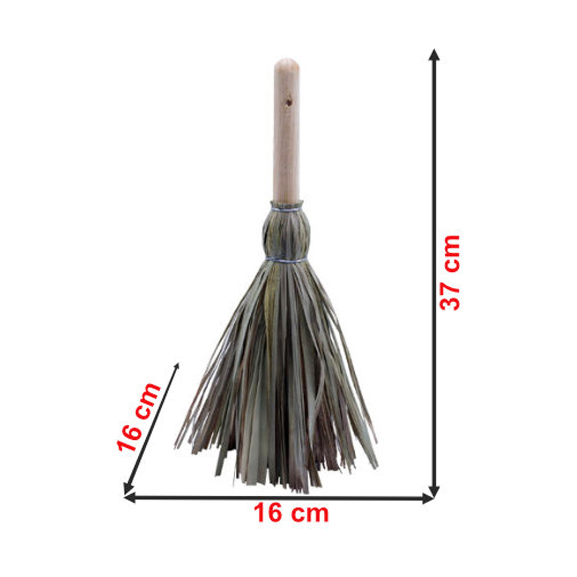 Vassoura de Palma com Cabo