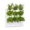 Horta Vertical 9 Vasos Branco Minigarden Horta Vertical 9 Vasos Branco Minigarden