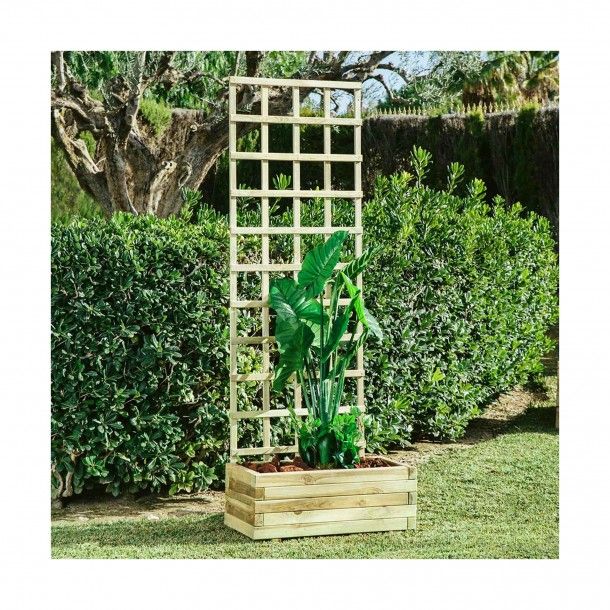 Gelosia 90x180x2cm Pinho Tratado Catral Gelosia 90x180x2cm Pinho Tratado Catral