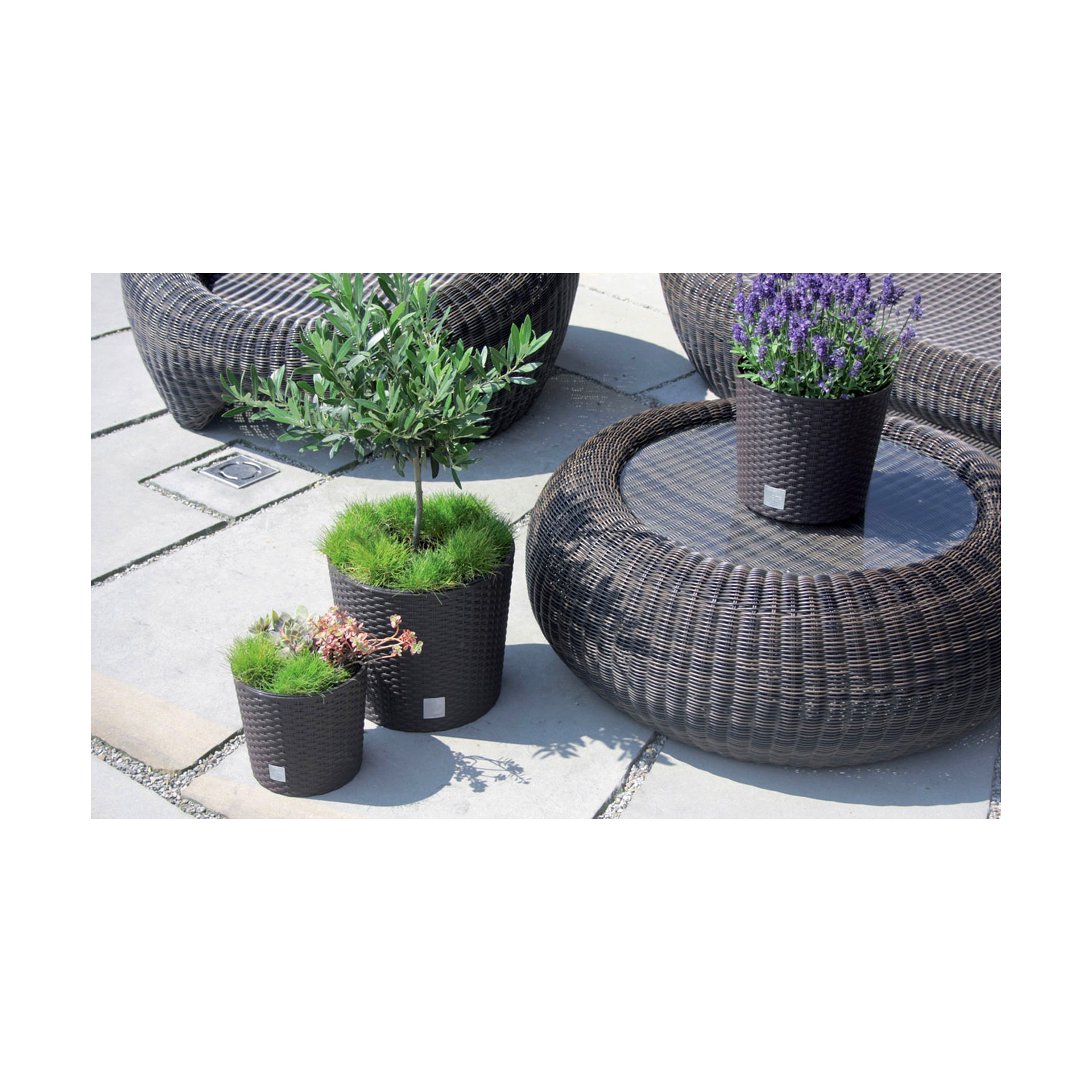 Vaso Redondo Baixo Estilo Ratan Castanho - 20 cm