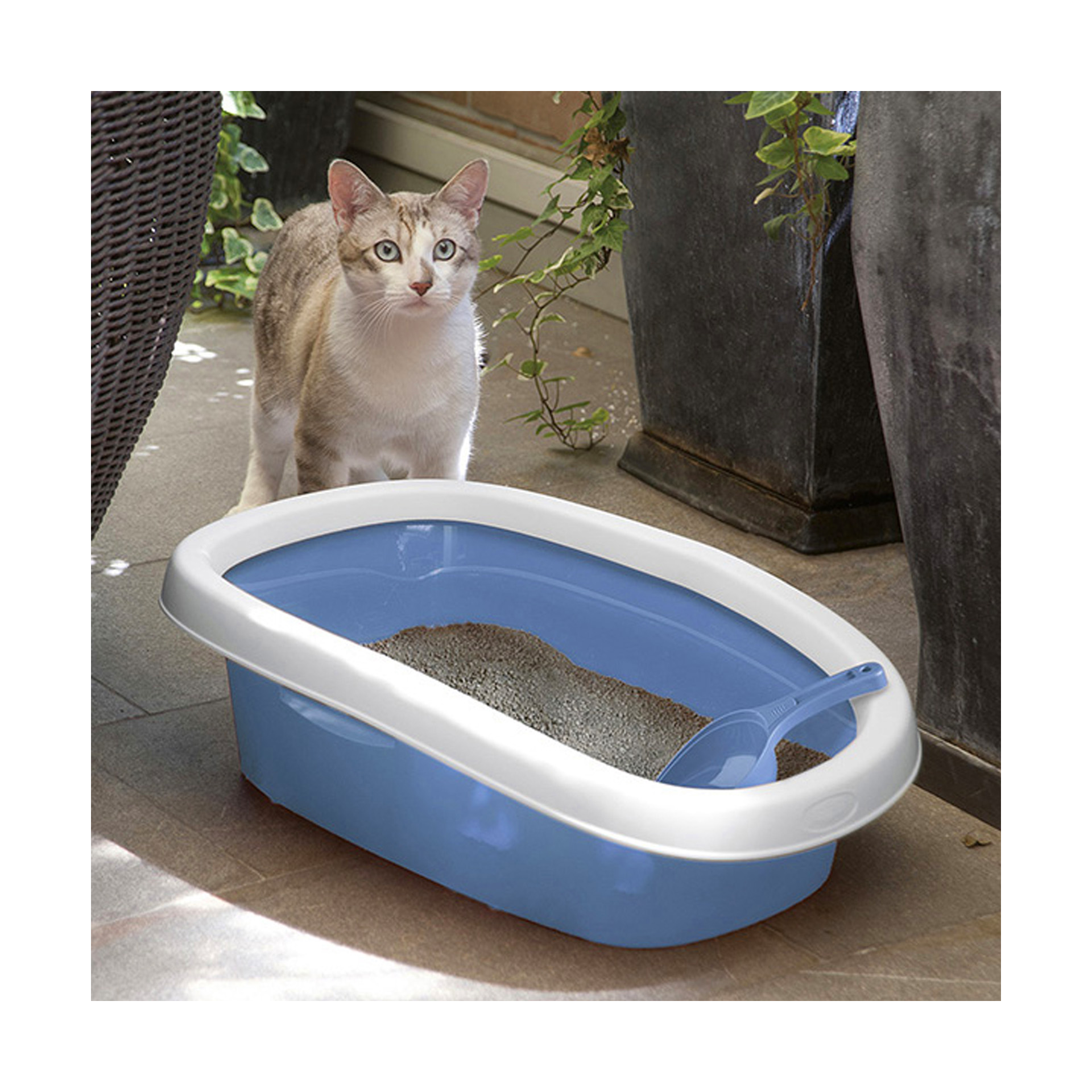 Caixa de Areia para Gatos