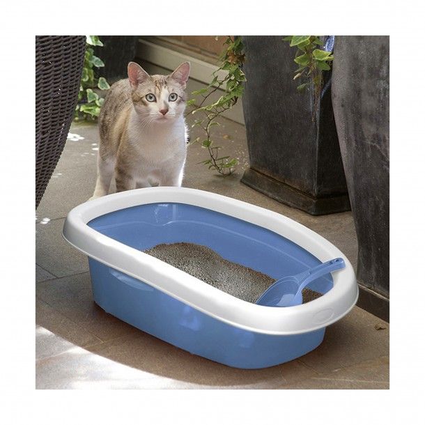 Caixa de Areia para Gatos Caixa de Areia para Gatos