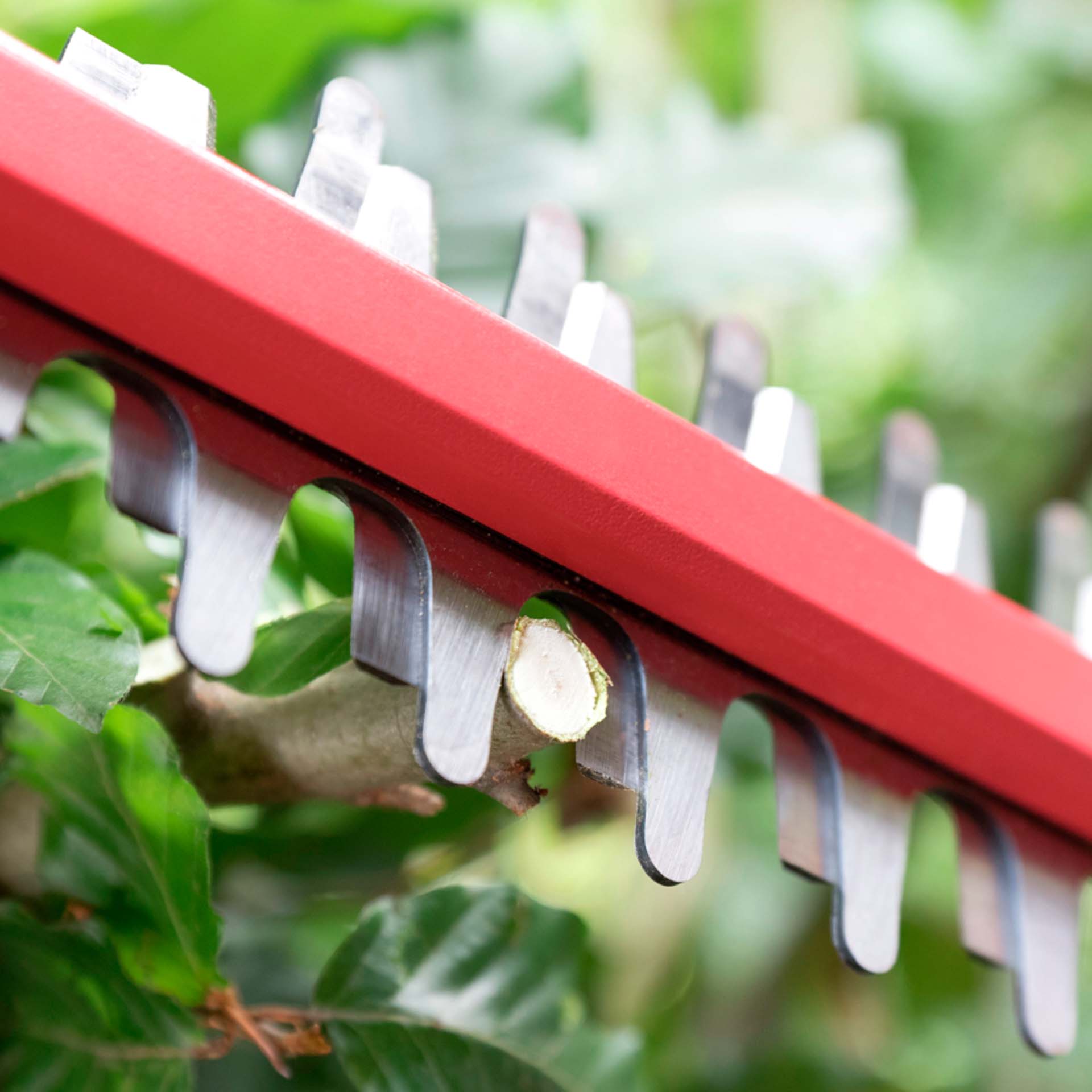 Corta Sebes a Bateria 55cm 20V sem Bateria 0430 CA Skil