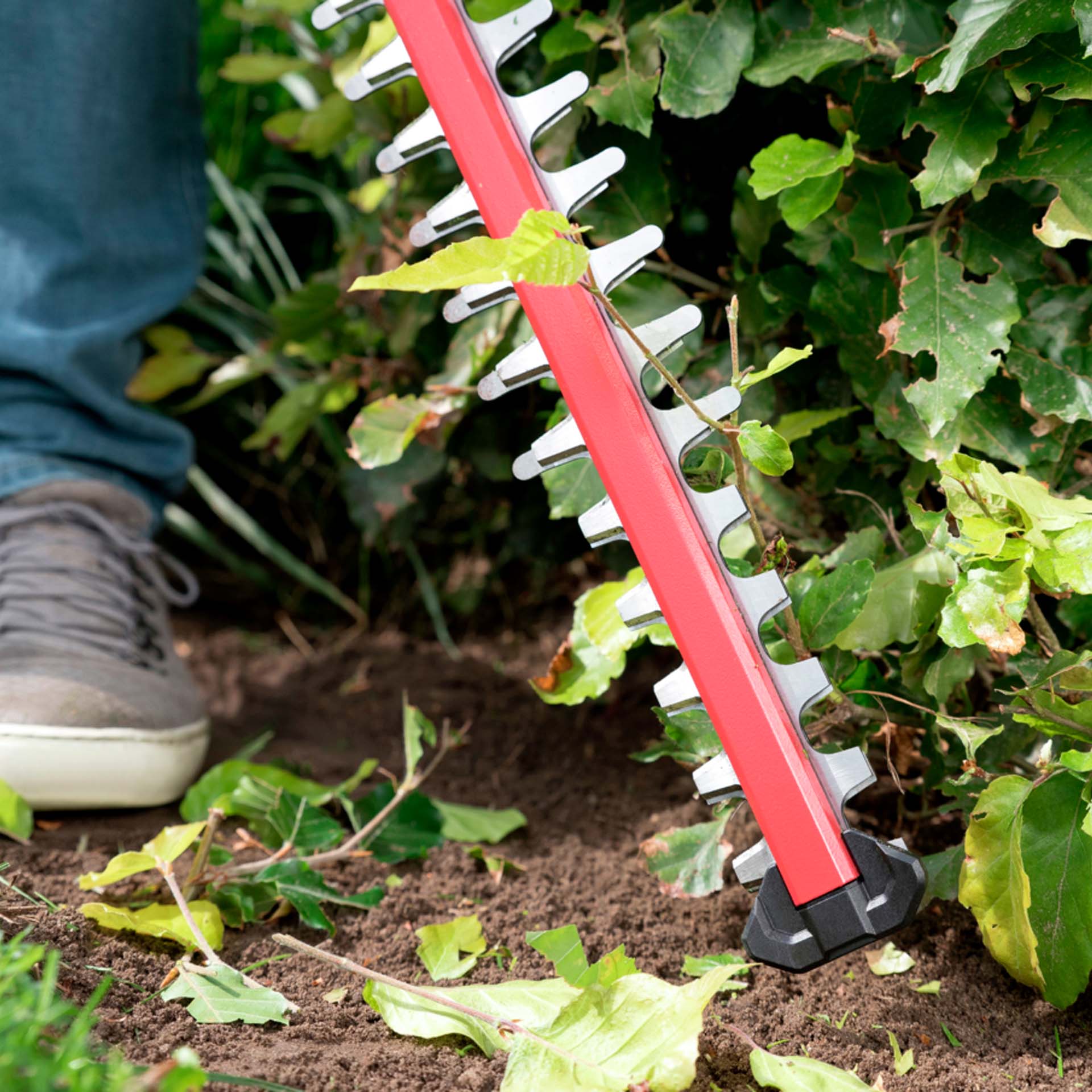 Corta Sebes a Bateria 50cm 20V sem Bateria 0429 CA Skil