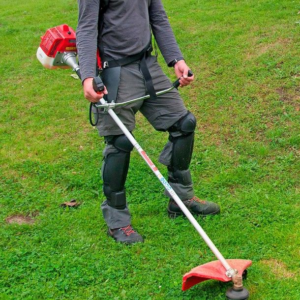 Caneleiras de Proteo Oregon