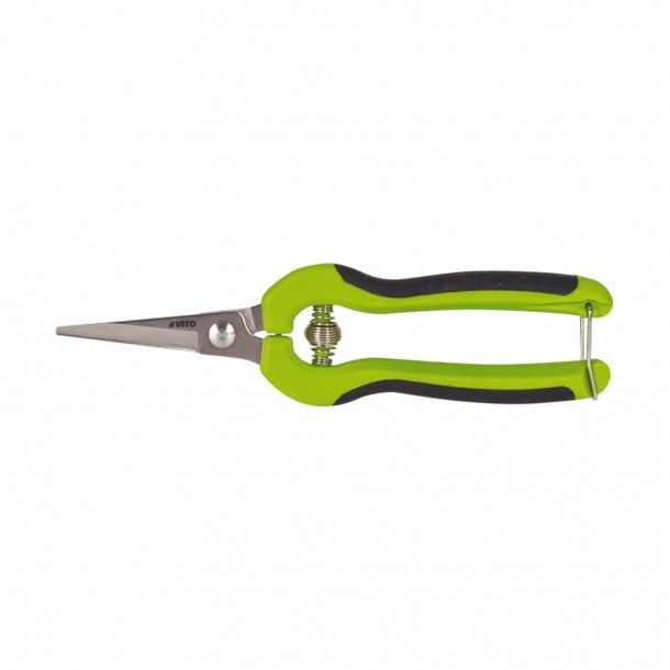 Tesoura de Vindima Direita 19cm Inox Vito