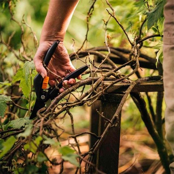 Tesoura para Poda e Vindima Singlestep 20mm Fiskars