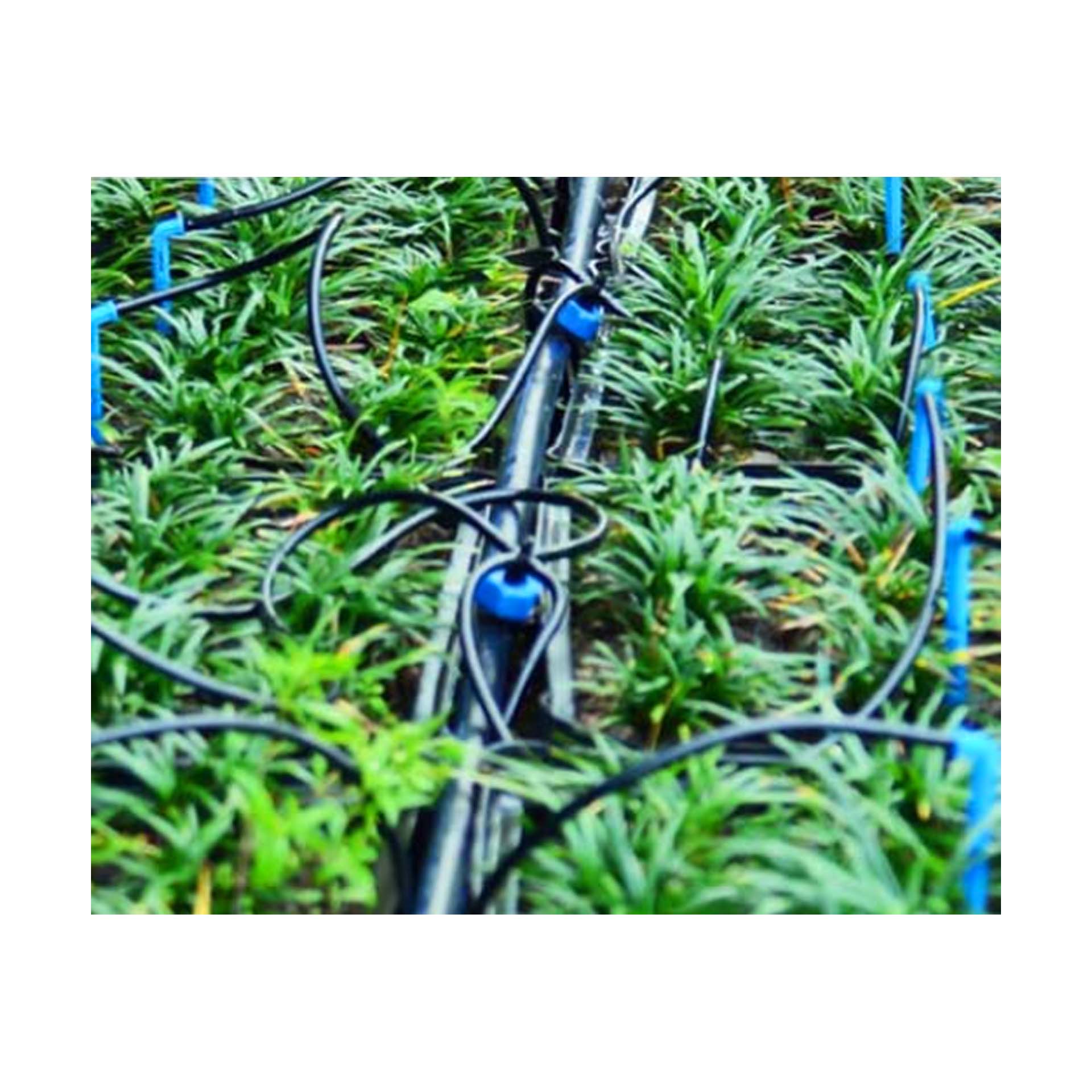 Gotejador 8L/h com 4 Saídas Microtubo/Piqueta 60cm Aqua Control Kit