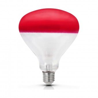 L�mpada Infravermelho E27 150W
