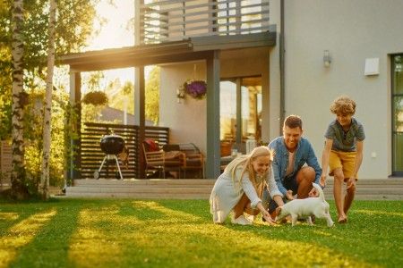 Primavera a chegar: Como preparar o seu jardim e espaço exterior Primavera a chegar: Como preparar o seu jardim e espaço exterior