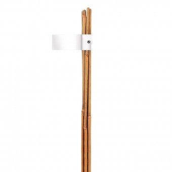 Tutor de Bambu Natural �10-12x120cm Pack 3 Nortene