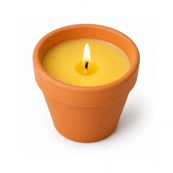 Vela Citronela Anti Mosquitos 7,7x6,3cm Vela Citronela Anti Mosquitos 7,7x6,3cm