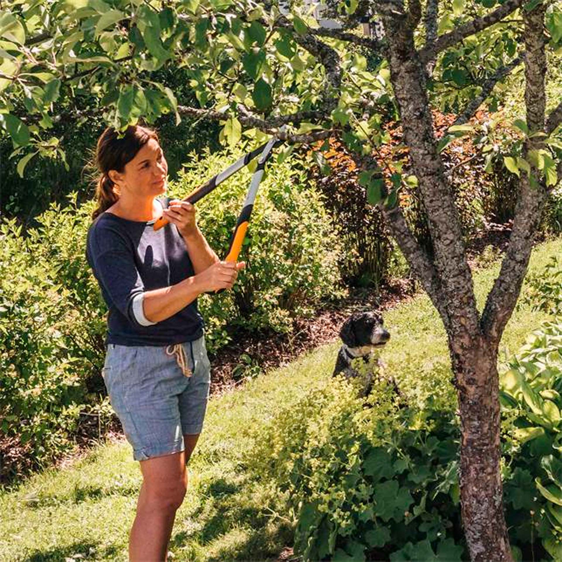 Tesoura para Poda de 2 Mãos PowerGearX S LX92 Fiskars