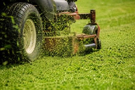 Mulching: O segredo para uma relva mais saudável e bonita Mulching: O segredo para uma relva mais saudável e bonita