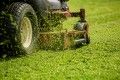 Mulching: O segredo para uma relva mais saud�vel e bonita