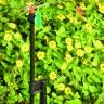 Vara Rígida 30cm Aqua Control 5 Uni Vara Rígida 30cm Aqua Control 5 Uni