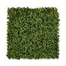 Jardim Vertical Buxus 100x100cm Catral Jardim Vertical Buxus 100x100cm Catral