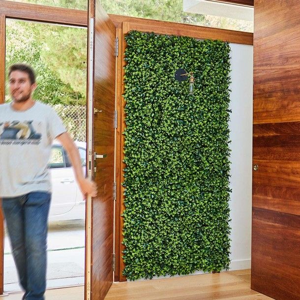 Jardim Vertical Buxus 100x100cm Catral Jardim Vertical Buxus 100x100cm Catral