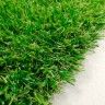 Relva Artificial Rolo Prado 20mm 2x15m (30m2) Relva Artificial Rolo Prado 20mm 2x15m (30m2)