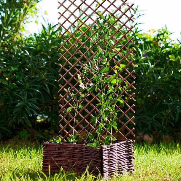 Gelosia de Vime Extensível 0,5x1,5M Catral Gelosia de Vime Extensível 0,5x1,5M Catral