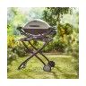 Carro Port�til Dobr�vel S�rie Weber Q1000+Q2000
