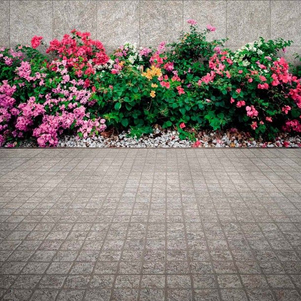 Pavimento Goidelic Section Grey 33x33cm 1ª Gresco Pavimento Goidelic Section Grey 33x33cm 1ª Gresco